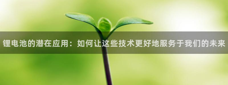 okpay数字钱包