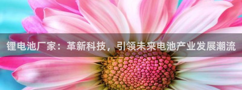 okpay钱包app官网