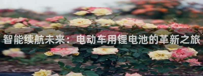 okpay钱包最新版安装方法
