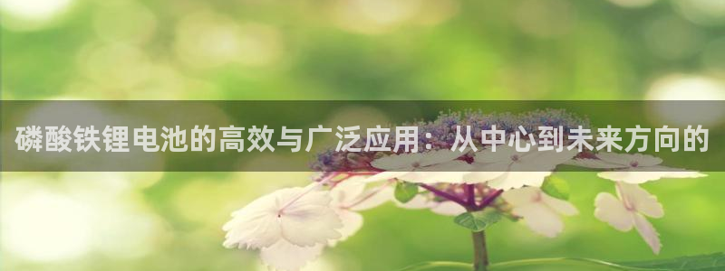 okpay钱包最新版本