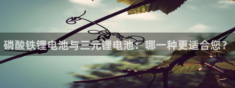 okpay钱包的方法