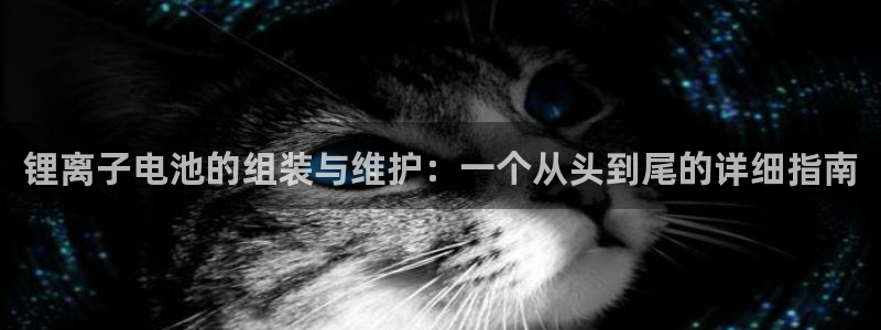 okpay支付钱包下载最新