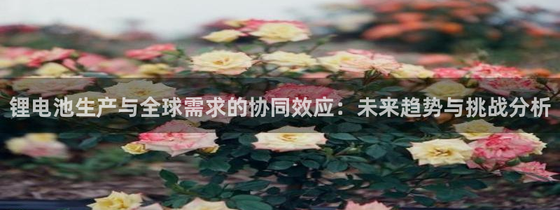 okpay钱包最新版安卓版