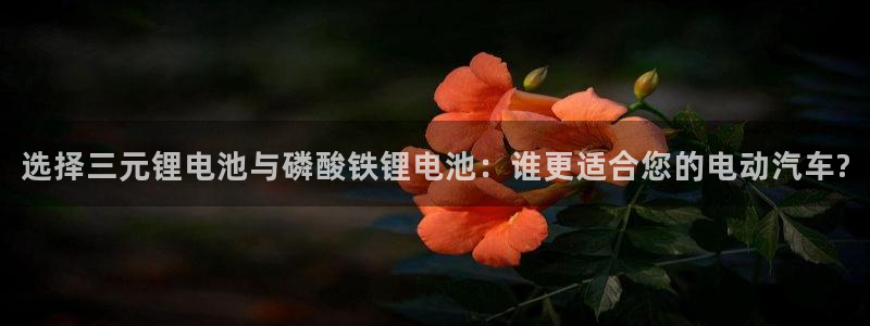 okpay钱包安卓版下载