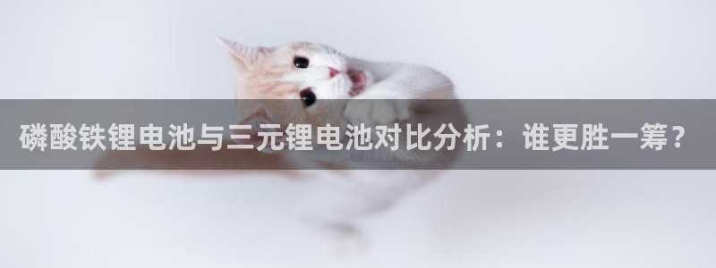 okpay钱包支付