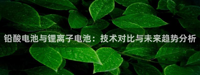 okpay钱包是那个公司