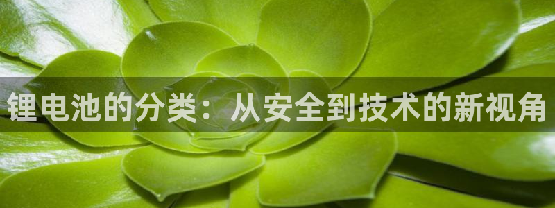 okpay钱包是什么东西,正规吗