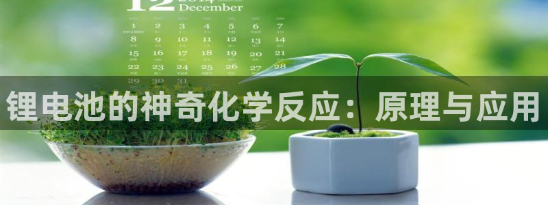 okpay钱包app下载官网2020