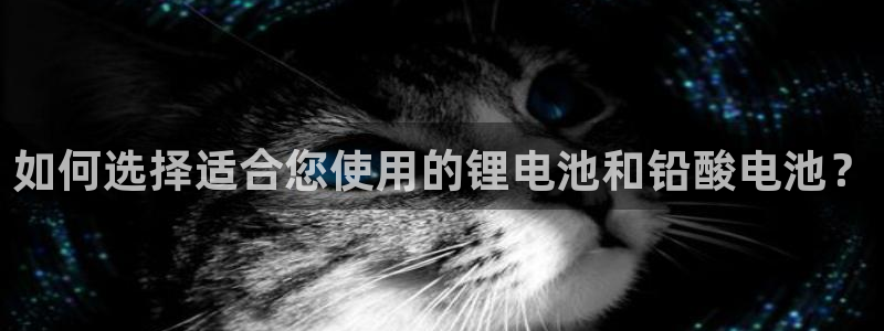 okpay钱包app下载官网2023