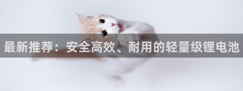 okpay钱包手机版最新版