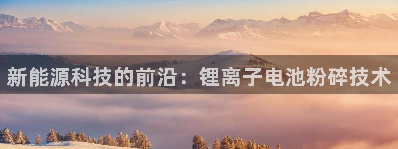 okpay钱包是什么东西,正规吗