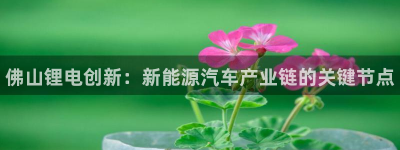 okpay钱包合法吗