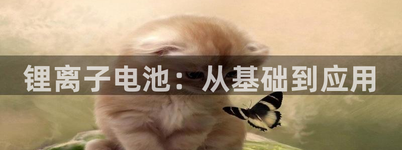 okpay钱包最新版下载