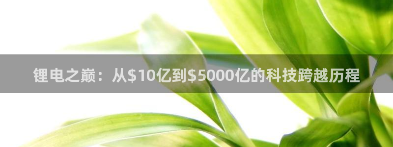 okpay钱包是什么