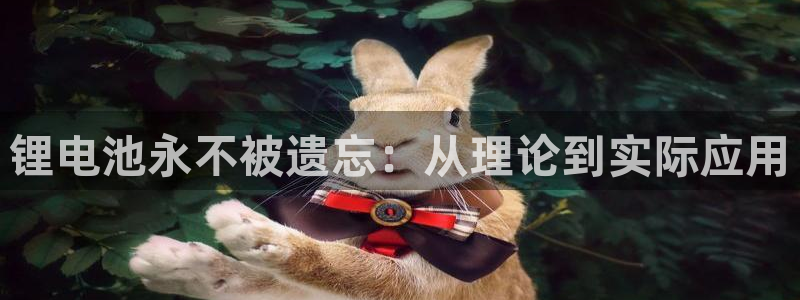 okpay钱包下载地址