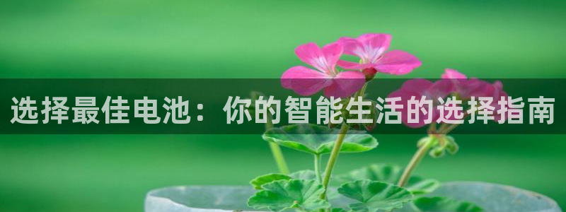 okpay钱包教程