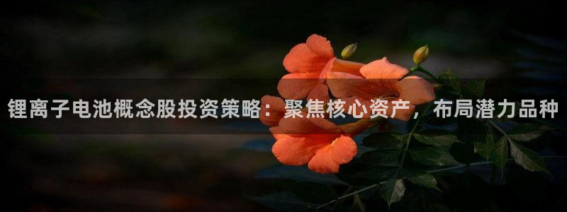 okpay钱包是正规的吗