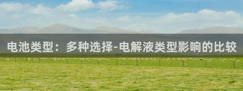 数字钱包okpay