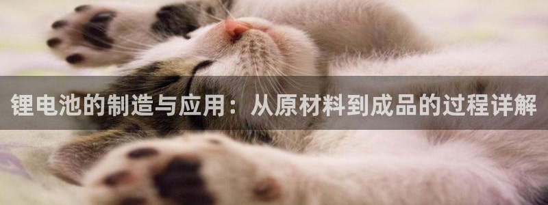 okpay钱包在中国合法吗
