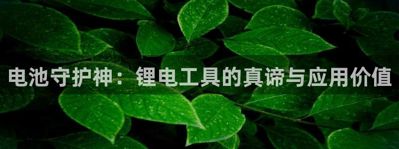 okpay是什么钱包
