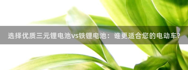 网赌虚拟币okpay钱包