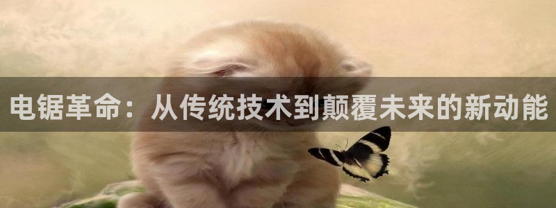 okpay钱包充值