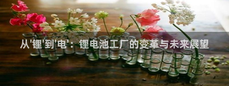钱包okpay