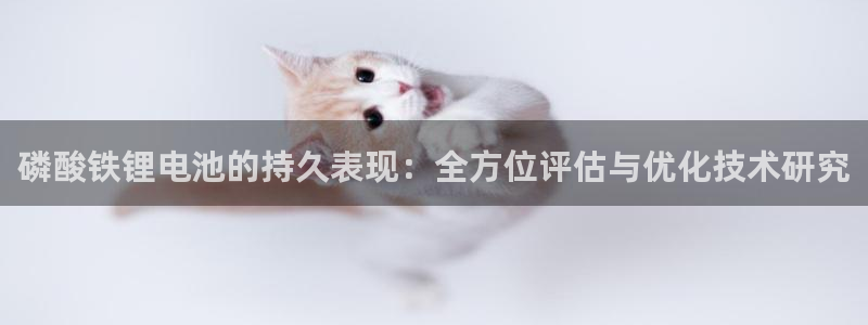 okpay数字钱包
