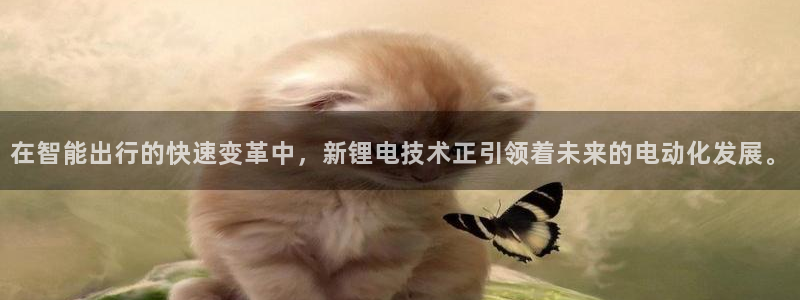 okpay钱包下载地址