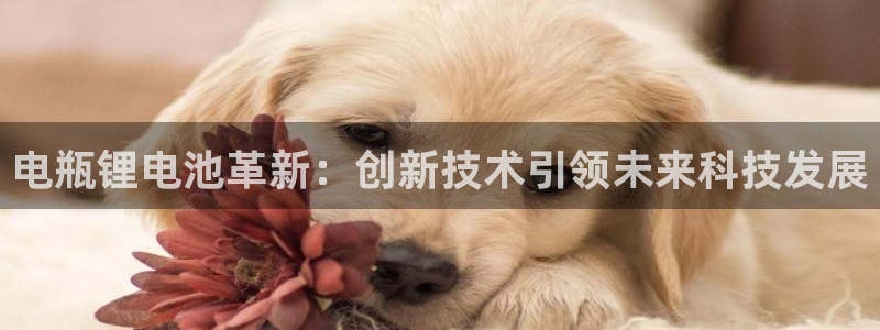 okpay钱包教程