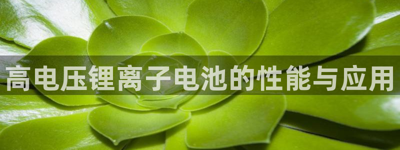 okpay钱包买币全过程