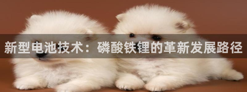 okpay钱包最新版本