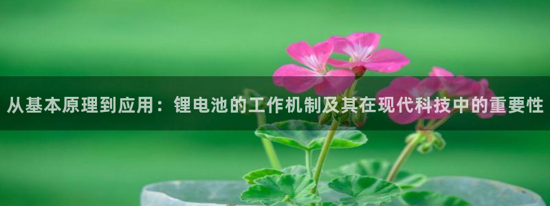 okpay钱包安卓官网下载