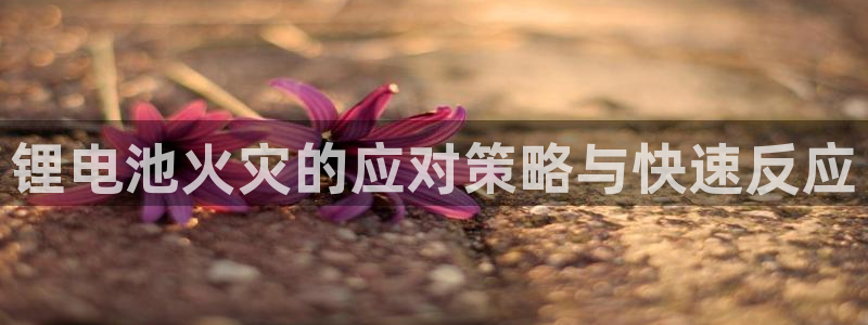 okpay是什么钱包