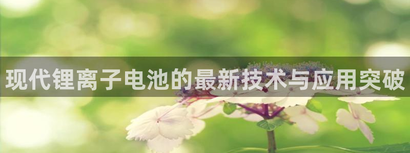 钱包okpay