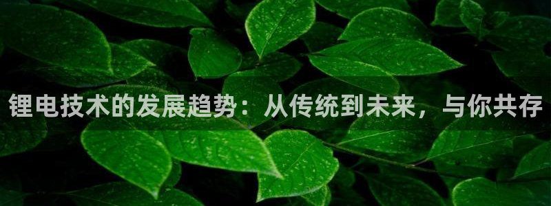 什么是okpay钱包