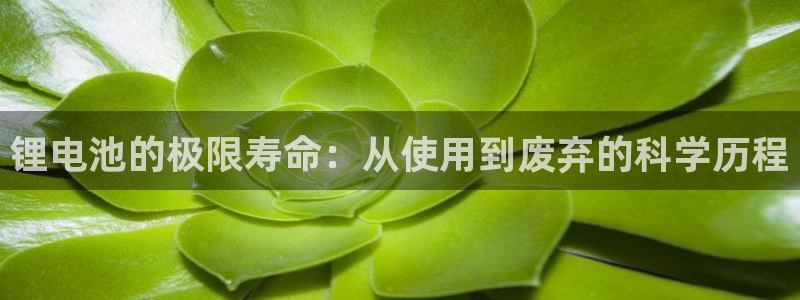 okpay钱包下载