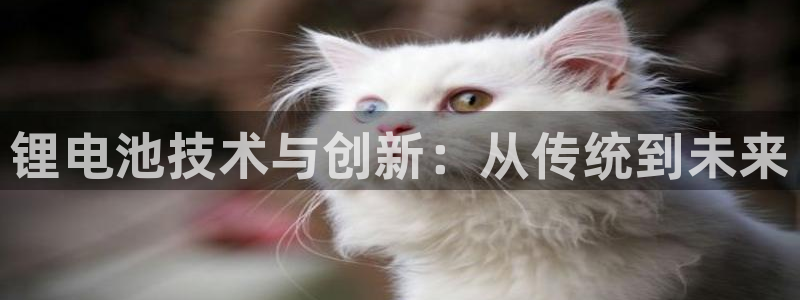 gopay及okpay钱包