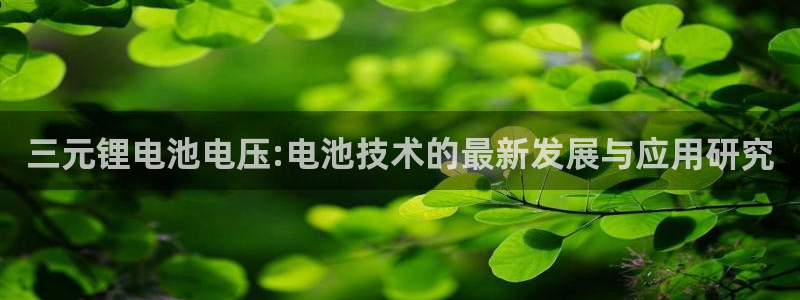 okpay钱包手机版最新版