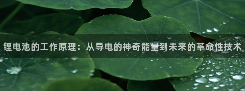 什么是okpay钱包