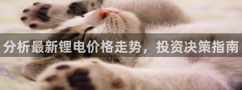 okpay钱包安卓版：分析最新锂电价格走势，投资决策指南