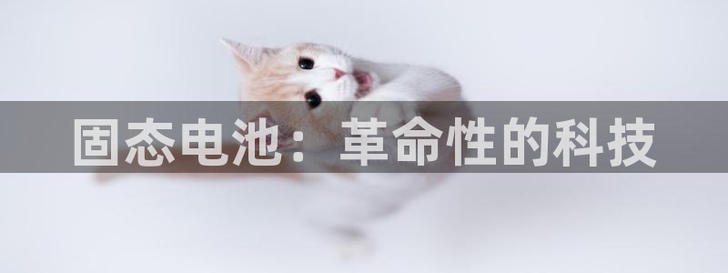 okpay钱包手机版：固态电池：革命性的科技
