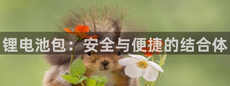 okpay钱包是什么