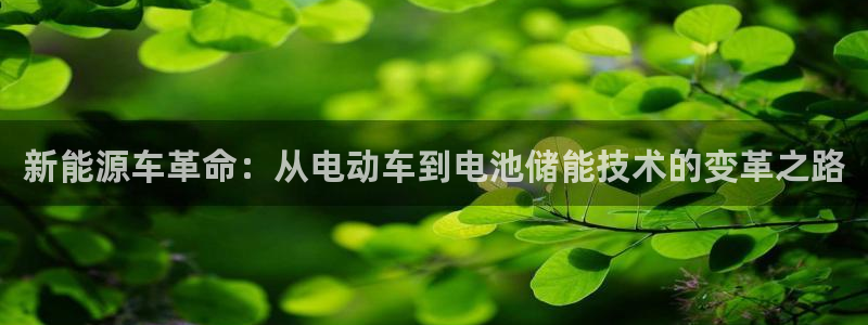 什么是okpay钱包
