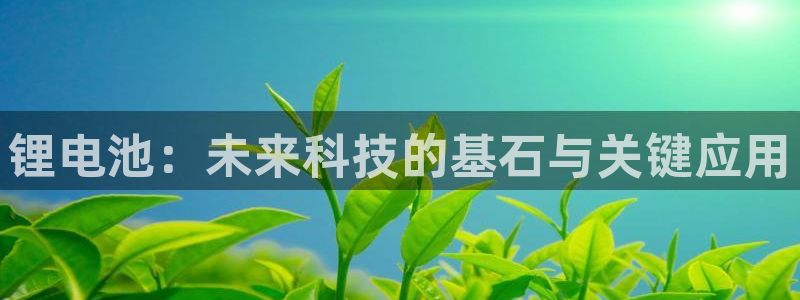 okpay是什么钱包：锂电池：未来科技的基石与关键应用