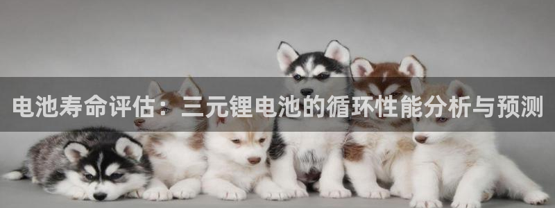 okpay钱包是那个公司：电池寿命评估：三元锂电池的循环性能分析与预测