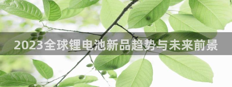 okpay钱包实名认证有风险吗