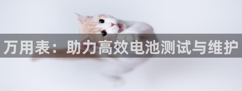 okpay钱包怎么充值