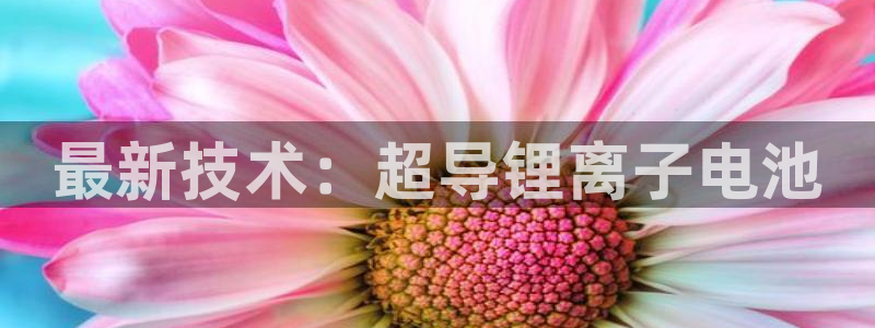 okpay钱包地址怎么查询：最新技术：超导锂离子电池