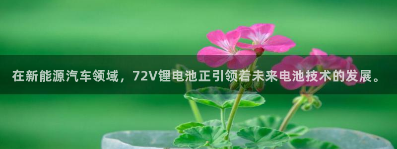 okpay钱包地址是什么